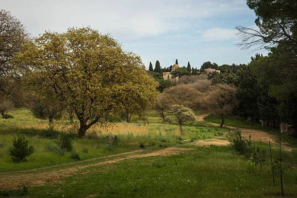 Filerimos Hill