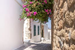 Whitewashed Lindos alley with pink bougainvillea